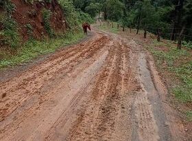 Comunidade de Pinheiro Marcado em breve receberá o cascalho na estrada.
