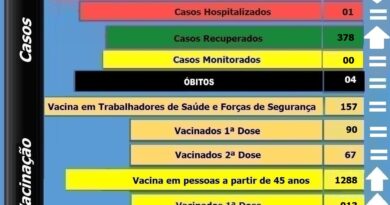 Boletim atualizado de Bocaina do Sul - 29-06-2021