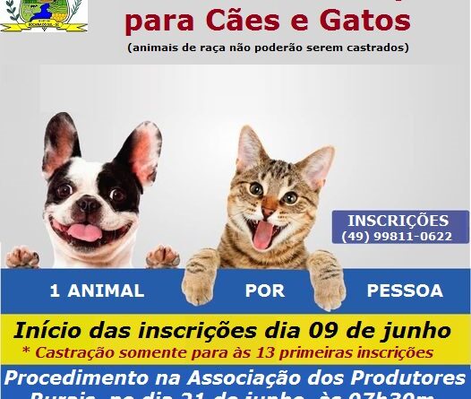 Oportunidade gratuita.