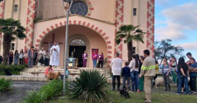 Diversos animais receberam a Benção em frente a Igreja Matriz Nossa Senhora da Boa Viagem.